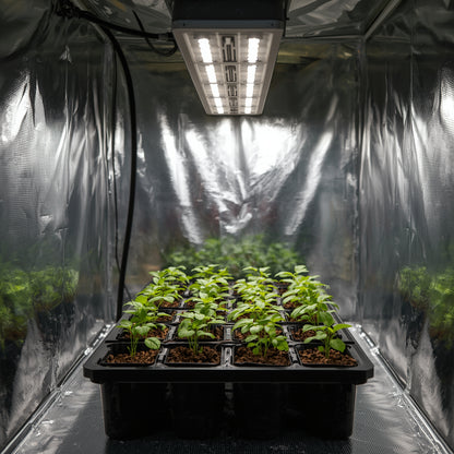 Propagation LED 20W Strip