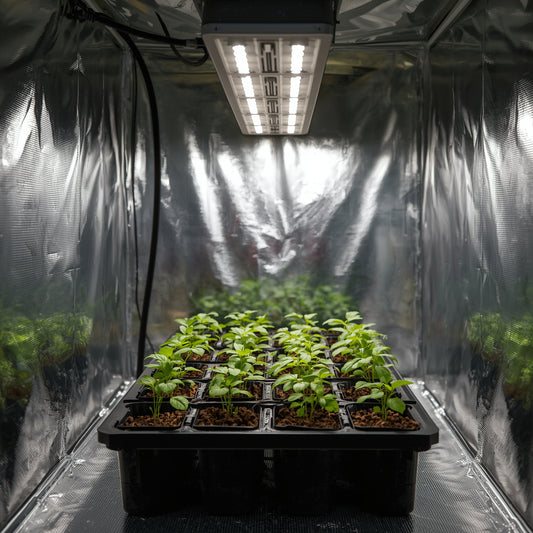 Propagation LED 20W Strip