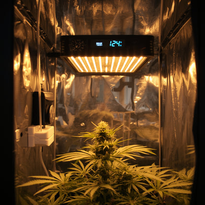 Analog Timer – 24h Mechanical (230 V, EU)