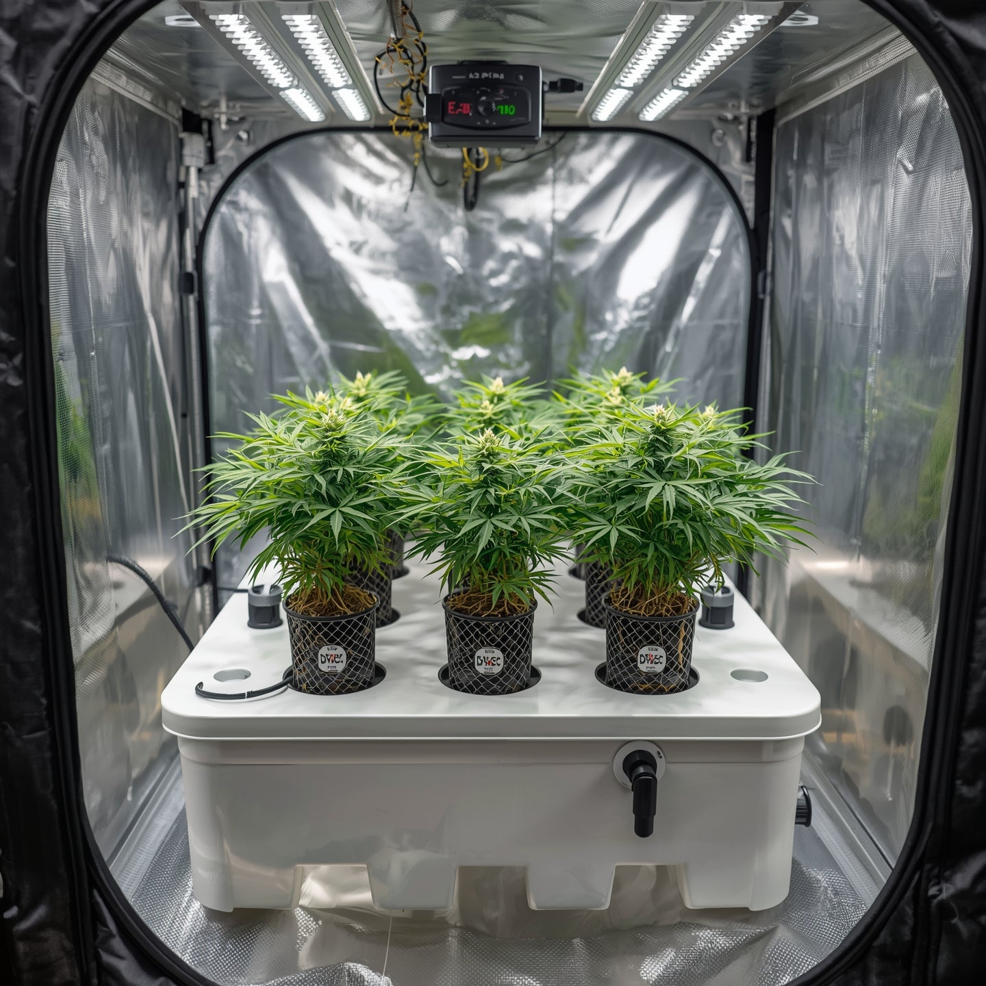 DWC Hydroponic Kit – 8 Plants