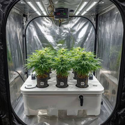 DWC Hydroponic Kit – 8 Plants