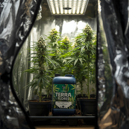 Canna Terra Flores (1L)