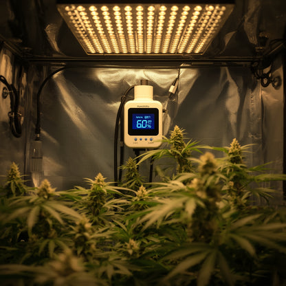 Digital Humidity Controller