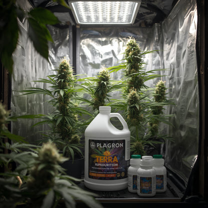 Plagron Terra Bloom (1L)