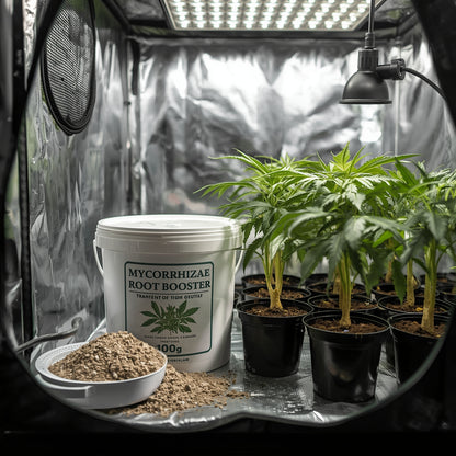Mycorrhizae Root Booster (100g)
