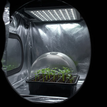 Spray Bottle Fine Mist 500ml