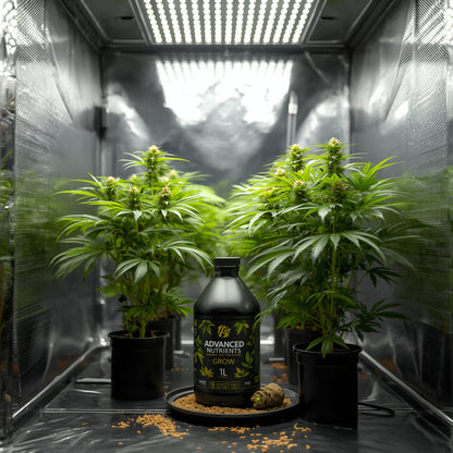 Advanced Nutrients Grow (1L)