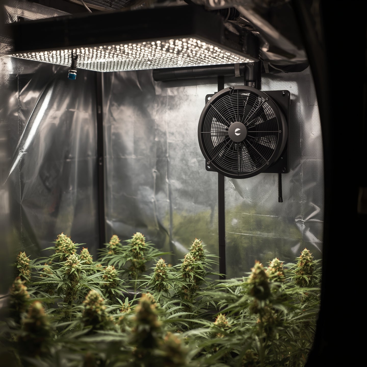 Carbon Filter 200 mm (8″) – Odor Control for Grow Tents (Black)