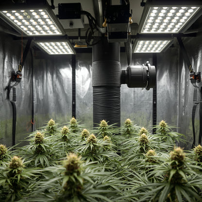 Inline Fan 250 mm (10″) – Silent Boxed Fan (EU)