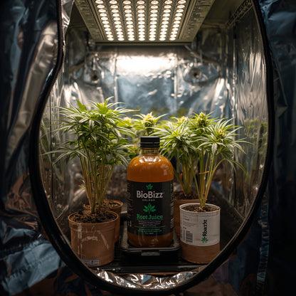 Biobizz Root Juice (500ml)