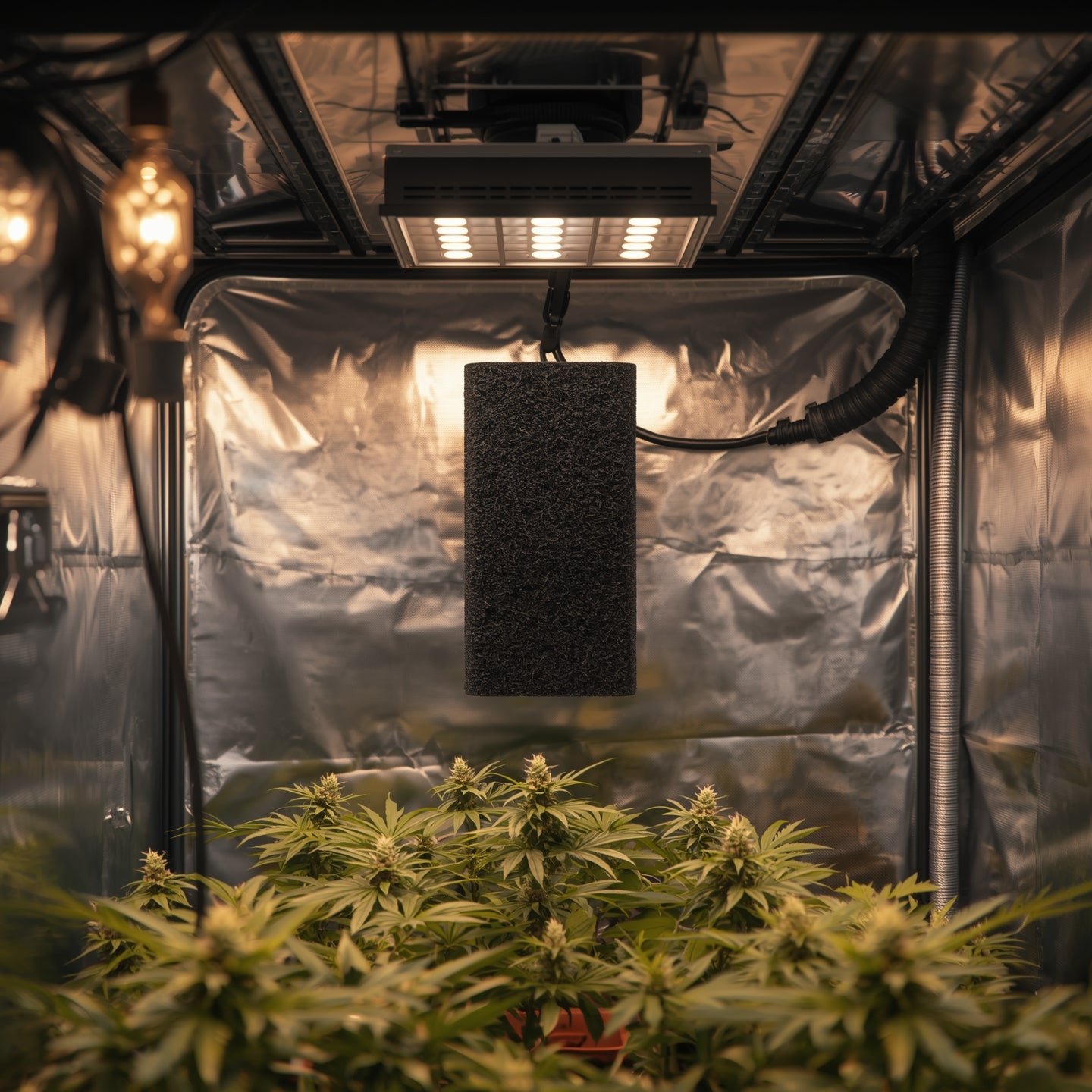 Carbon Filter 150 mm (6″) – Odor Control for Grow Tents (Black)