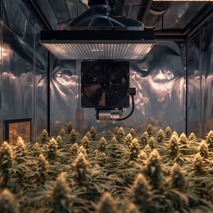 Carbon Filter 250 mm (10″) – Odor Control for Grow Tents (Black)