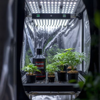 Plagron Power Roots (250ml)