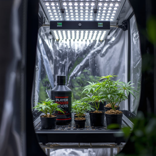 Plagron Power Roots (250ml)