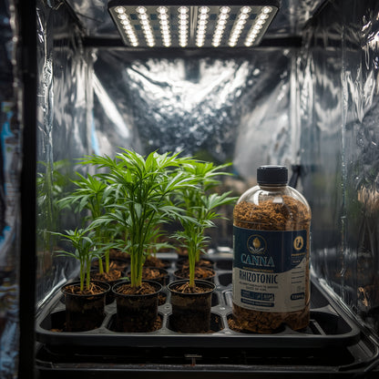 Canna Rhizotonic (500ml)