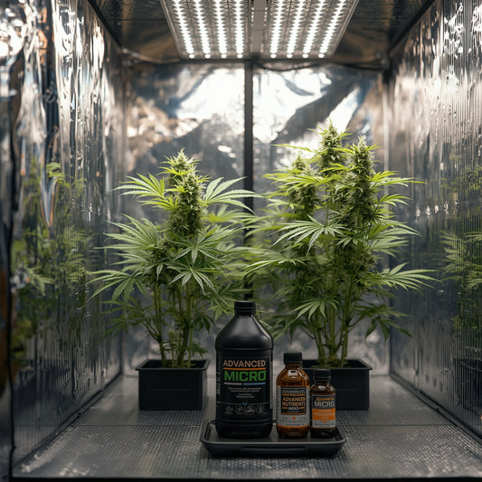 Advanced Nutrients Micro (1L)