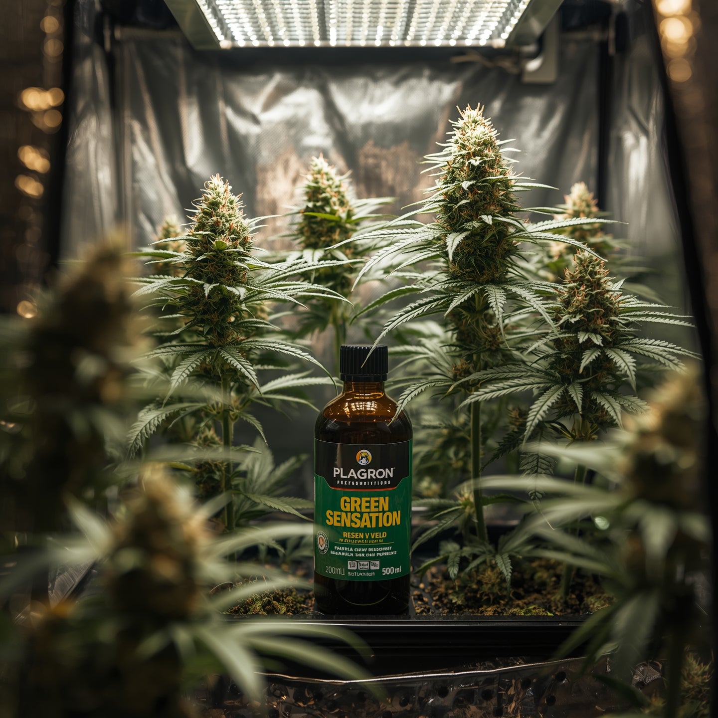 Plagron Green Sensation (500ml)