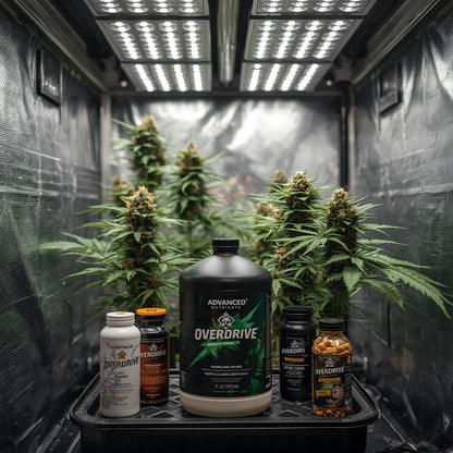 Advanced Nutrients Overdrive (1L)