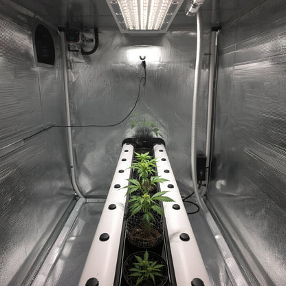 NFT Hydroponic System – 1.2 m