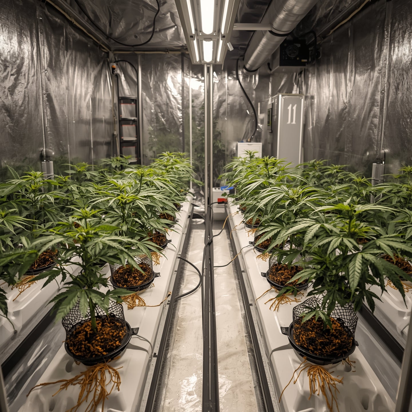 NFT Hydroponic System – 2.4 m