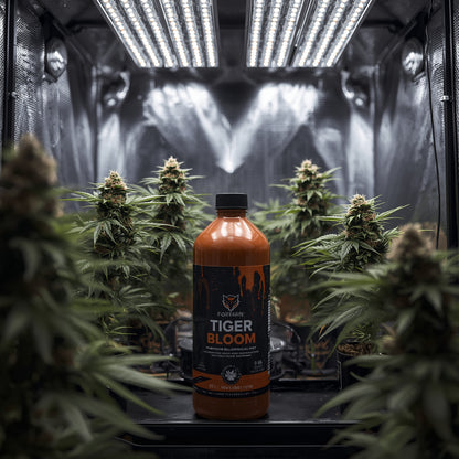 FoxFarm Tiger Bloom (1L)