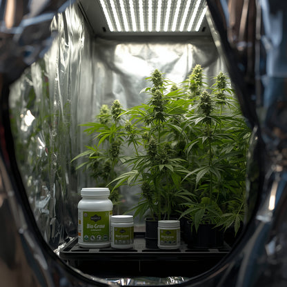 Biobizz Bio-Grow (1L)