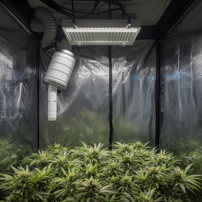 Complete Ventilation Kit 100 mm (4″) – Fan, Carbon Filter, Ducting (EU)