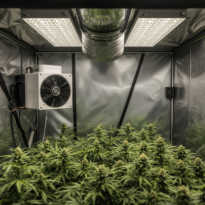 Complete Ventilation Kit 200 mm (8″) – High-Pressure Fan, Carbon Filter (EU)