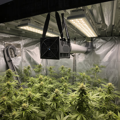 Complete Ventilation Kit 150 mm (6″) – EC Fan, Carbon Filter, Ducting (EU)