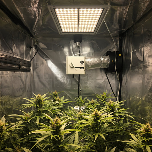 Aluminum Ducting 5 m – 100 mm (4″) Flexible Vent Hose