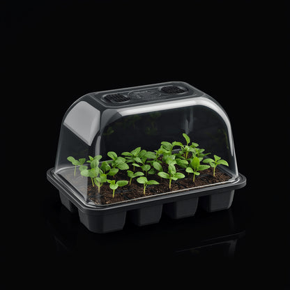 Spray Bottle Fine Mist 500ml