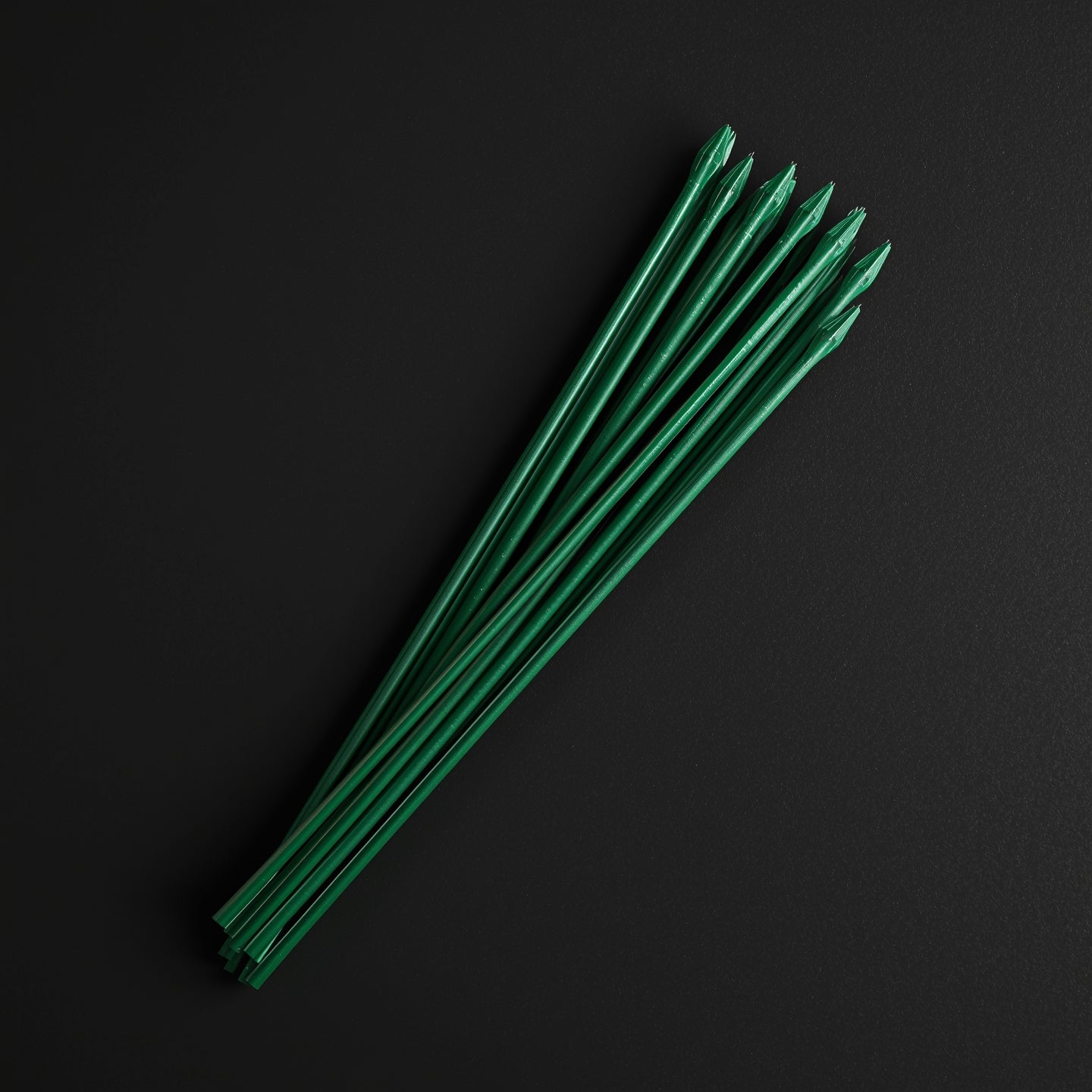 Plant Support Stakes 60cm (10 Pack)