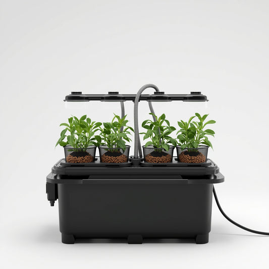 DWC Hydroponic Kit – 4 Plants