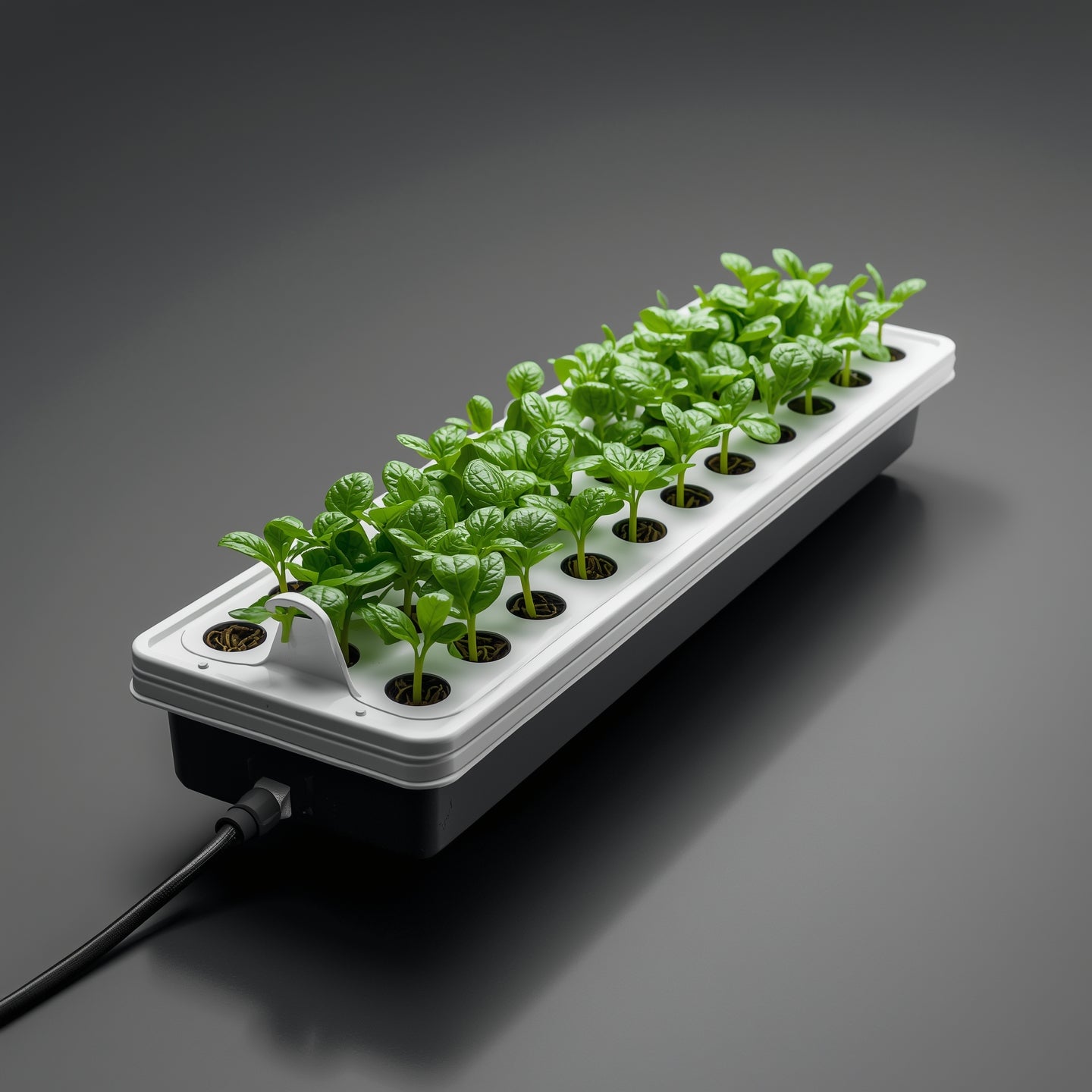 NFT Hydroponic System – 1.2 m