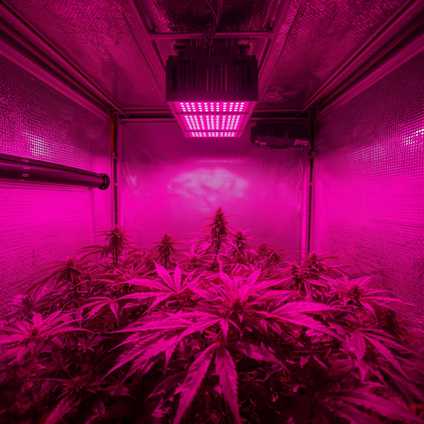 Grow Tent Kit 120×120×200 – LED & Full Ventilation Package