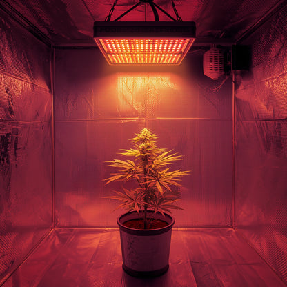 LED Grow Light – 100W Full Spectrum for Indoor Cannabis