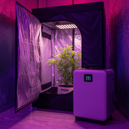 Portable Digital Dehumidifier – Ideal for Grow Tents