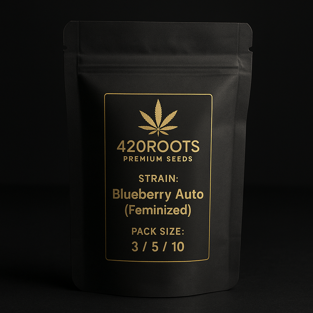 Blueberry Auto (Feminized Autoflower) – Dutch Passion