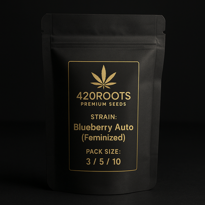 Blueberry Auto (Feminized Autoflower) – Dutch Passion