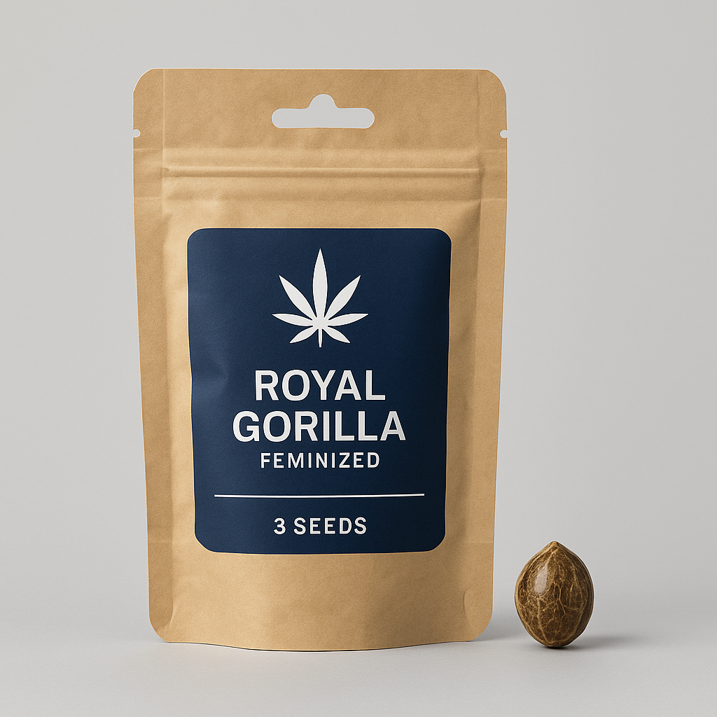 Royal Gorilla Feminized Seeds – Royal Queen Seeds