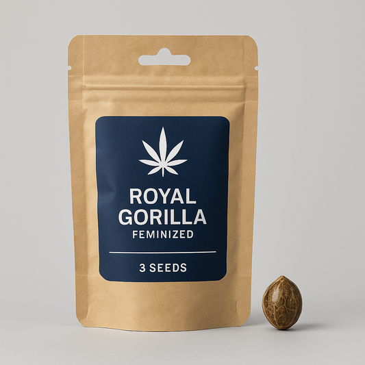Royal Gorilla Feminized Seeds – Royal Queen Seeds