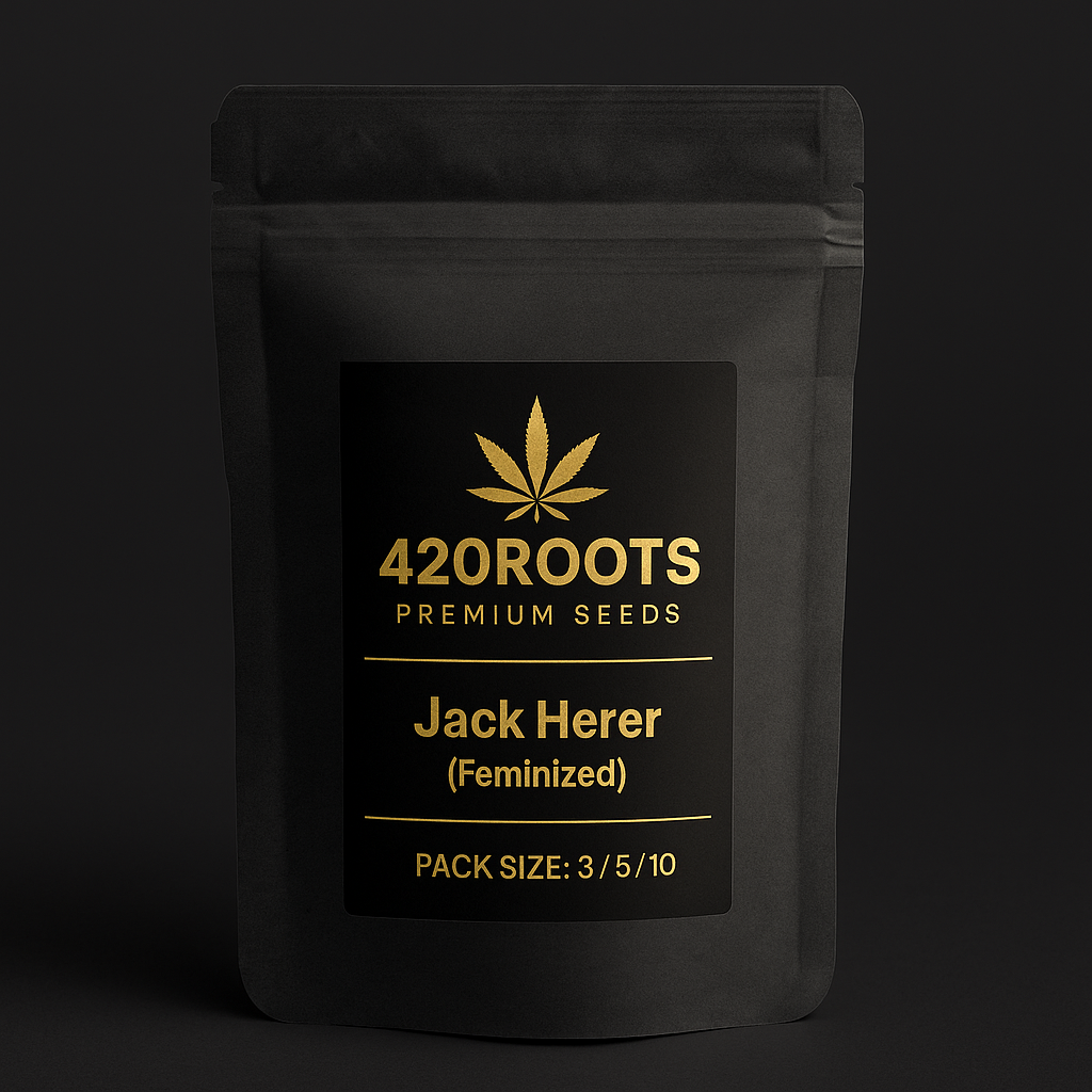 Jack Herer (Feminized) – Sensi Seeds