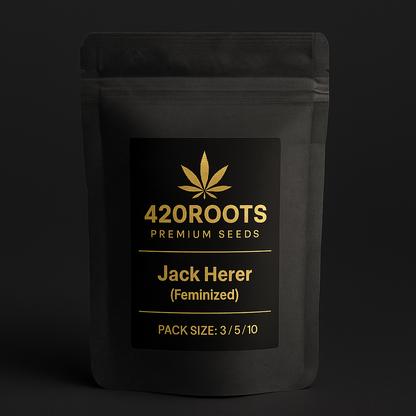Jack Herer (Feminized) – Sensi Seeds