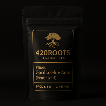 Gorilla Glue Auto (Feminized Autoflower) – Fast Buds / RQS (EU)