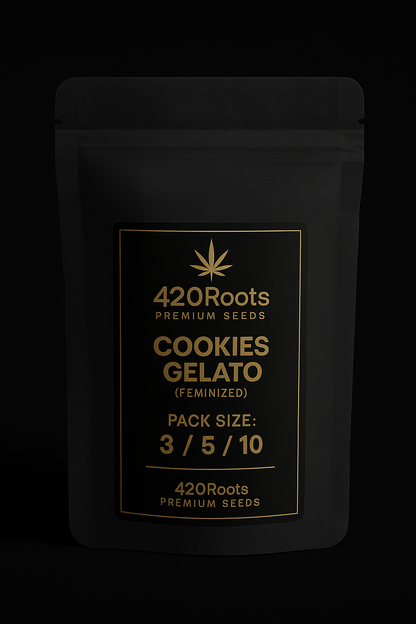 Cookies Gelato (Feminized) – RQS